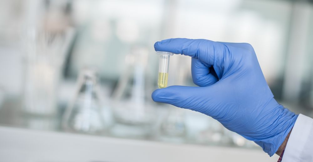 Entwicklung & Beratung